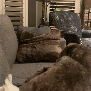 Meet your Posher, Nikki